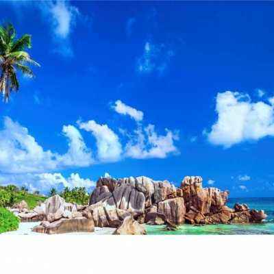 新188app官网下载